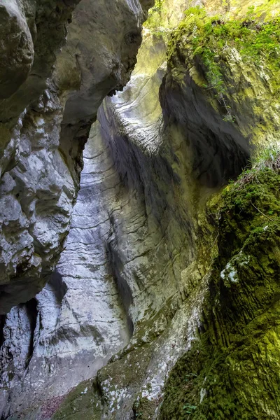 Каньон Вырезанный Скале Тысячелетия Потоком Реки Внизу Краям Пышная Растительность — стоковое фото