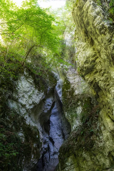 Cañón Tallado Roca Milenaria Por Flujo Del Río Abajo Los —  Fotos de Stock