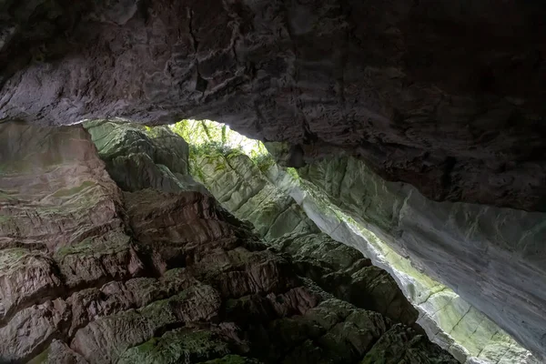 Aşağıdaki nehrin akışıyla milenyum kayasına oyulmuş kanyon. Kenarlarında lüks bitkiler var..