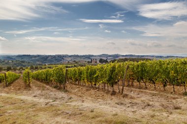 Chianti Vadisi tepelerinde