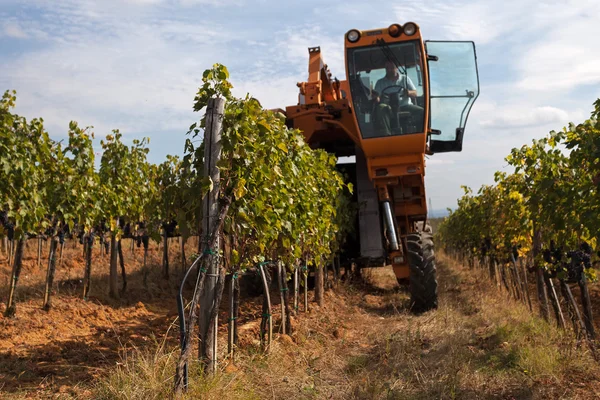 Mechanische Weinlese — Stockfoto