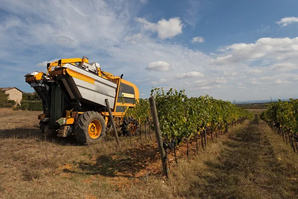 Grape skörd maskin — Stockfoto