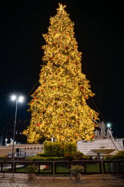 Roma, İtalya - 8 Aralık 2025: Piazza del Popolo 'da Noel tatili yaklaşırken renkli ışıklarla süslenmiş görkemli Noel ağacı.