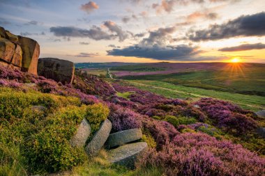Pembe fundalık, Peak District 'te batan güneş tarafından aydınlatılıyor..