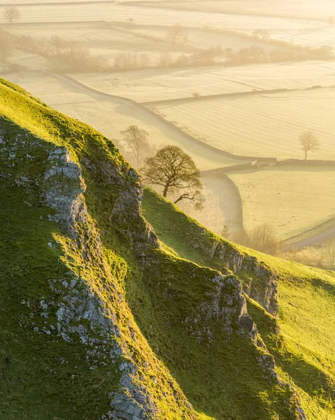 Holý Strom Úbočí Kopce Britské Krajině Čerstvém Jarním Ránu — Stock fotografie