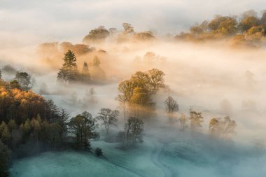 İngiliz Gölü Bölgesi 'nde soğuk bir sabahta kalın bir sonbahar sisinin içinden süzülen altın ışık demetleri.. 
