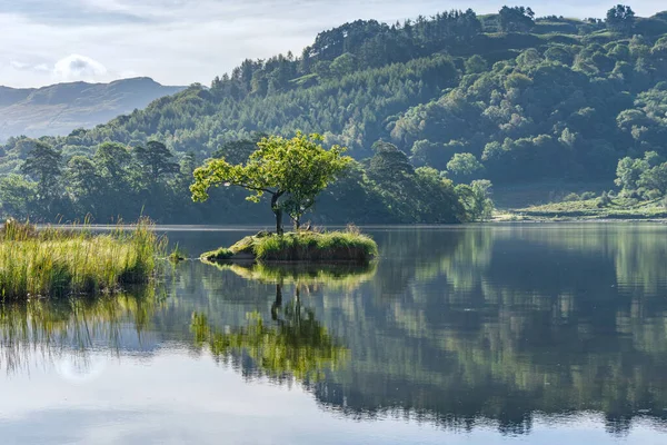 Een Eenzame Boom Een Eiland Weerspiegeld Het Meer Bij Rydal — Stockfoto