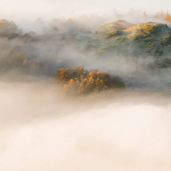 Ochtend Licht Schijnt Herfstbomen Met Een Dromerig Mistig Landschap — Stockfoto