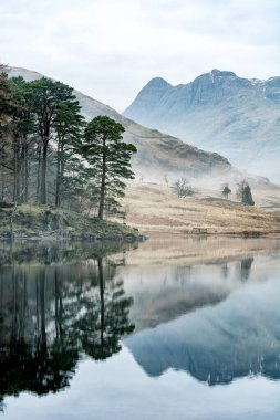 Lake District 'teki Blea Tarn' daki orman ağaçları sisli bir bahar sabahı huzur dolu yansımalarla.