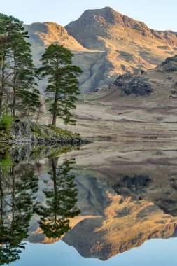 Langdale Pikes, İngiltere 'nin Lake District bölgesindeki Blea Tarn' daki suda berrak yansımalarla yükselen güneş tarafından aydınlatılıyor..