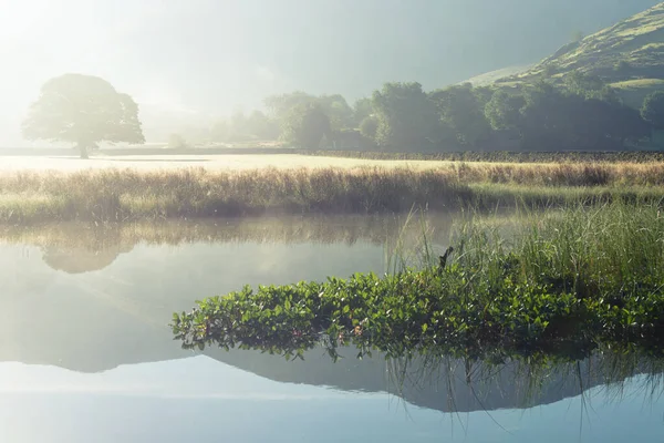 Nebliger Sommermorgen Fluss Bei Brotherswater Englischen Lake District — Stockfoto