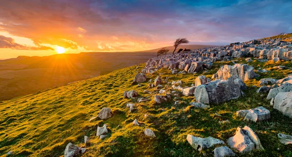 Karamsar bulutlarla dolu Yorkshire Dales Ulusal Parkı 'ndaki Twistleton Scar' da dramatik gün batımı.