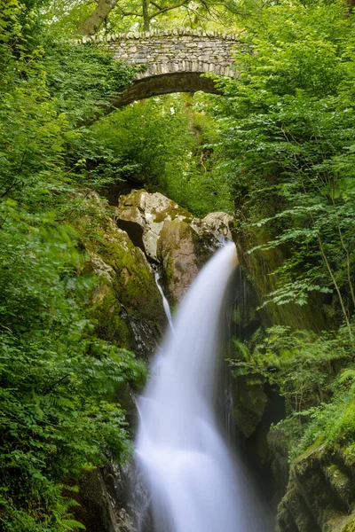 Gyönyörű Folyó Vízesés Régi Kőhíd Körül Zöld Nyári Lombozat Lake — Stock Fotó