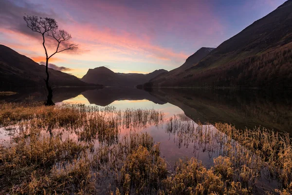 Prachtige Roze Zonsopgang Bij Buttermere Het Engelse Lake District Met — Stockfoto