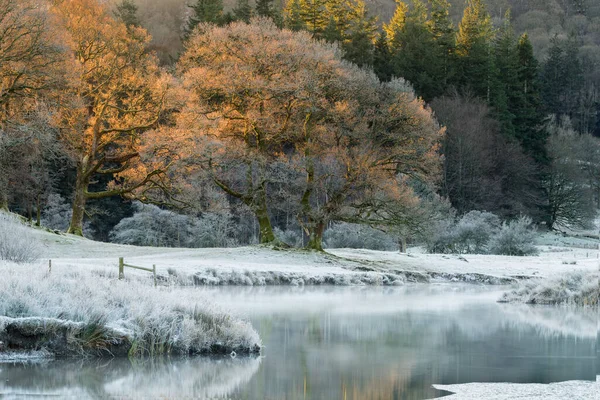 Koude Ijzige Winterochtend Aan Rivier Brathay Het Lake District Met — Stockfoto