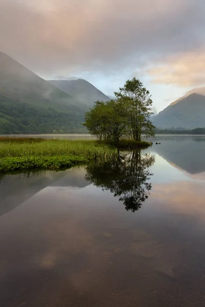 Skupina Stromů Reflektující Klidném Jezeře Brotherswater Lake District Velká Británie — Stock fotografie