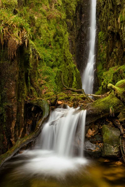 Scale Force Vízesés Angol Lake District Borított Zöld Moha — Stock Fotó