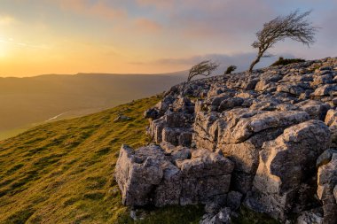 Yorkshire Dales Yaz Günbatımı Rüzgarlı ağaçlar ve kireçtaşı kaldırımlarıyla.