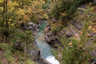 Pyrenean ormanları arasında nehrin tanınmayan bir bölümü