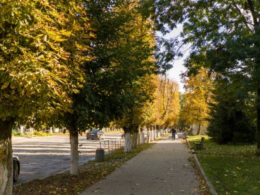 Parkın ortasında ağaçlarla dolu bir kaldırım..