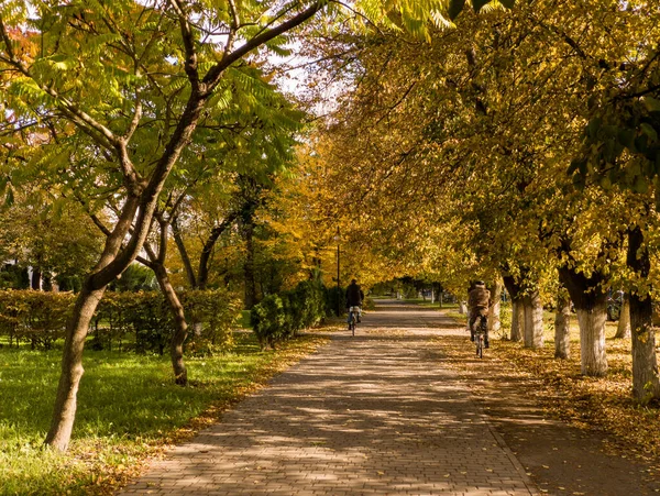 Parkta kaldırımda bisiklet süren bir çift insan..