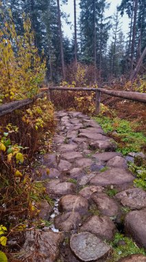 Ormanın ortasında, tahta çitli taş bir patika..