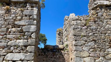 İçinden ağaç çıkan taş bir duvar..