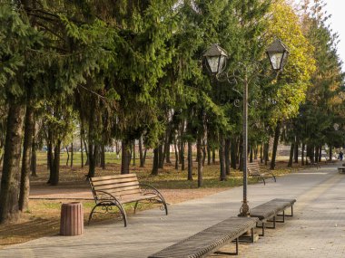 Bankları ve ortasında lamba direği olan bir park..