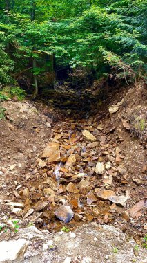 Kayalarla dolu bir ormanda akan küçük bir dere..