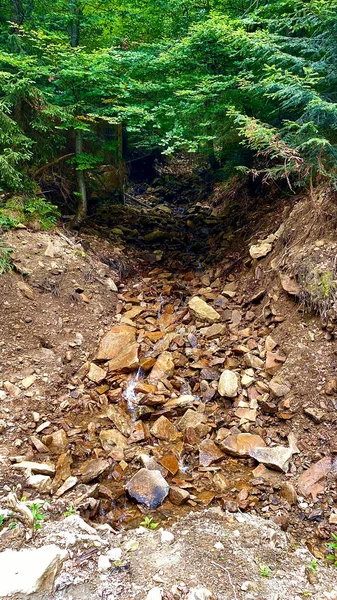 Kayalarla dolu bir ormanda akan küçük bir dere..