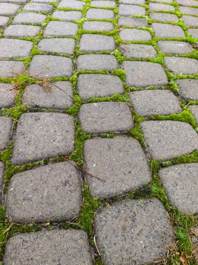 A cobblestone walkway with moss growing on the ground.