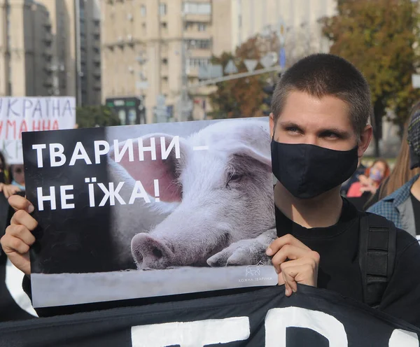Activista Con Pancartas Derechos Los Animales Durante Mitin Con Motivo — Foto de Stock