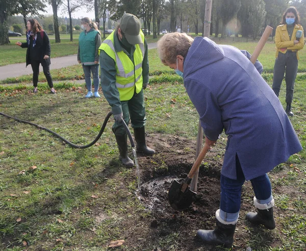 Eylemciler 8 Ekim 2020 Kiev 'de Bazhana Caddesi' nin peyzajı sırasında akçaağaç dikerler..