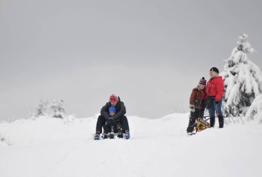 15 Aralık 2012 'de Kiev' de bir parkta kızak kullanıldı..