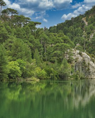 Ormandaki göl ve dağlar