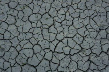 Crack soil on dry season, Global worming effect in spain