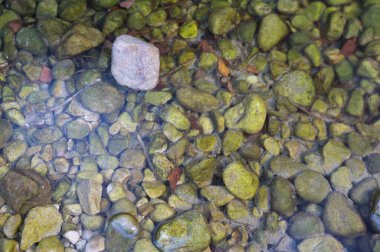 Sonbahar yaprakları dökülmüş büyük taşlar yolu. İspanya 'ya metin eklemek için doğal arkaplan