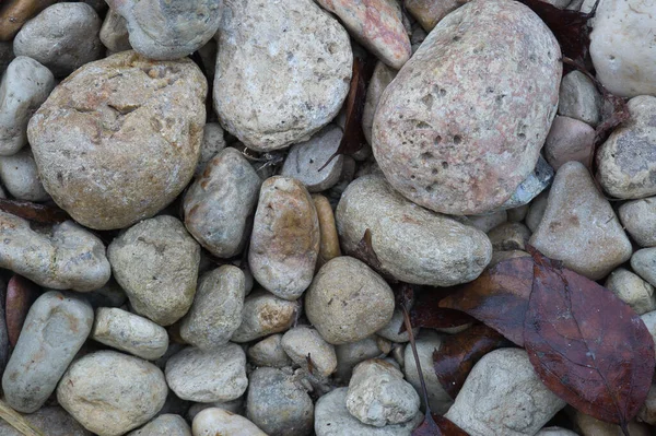 Camino Grandes Piedras Con Hojas Caídas Otoño Fondo Natural Para — Foto de Stock