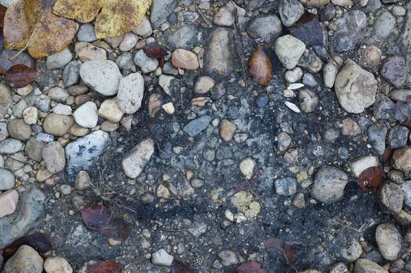 Ein Weg Aus Großen Steinen Mit Abgefallenen Herbstblättern Natürlicher Hintergrund — Stockfoto