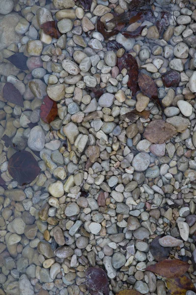 Ein Weg Aus Großen Steinen Mit Abgefallenen Herbstblättern Natürlicher Hintergrund — Stockfoto