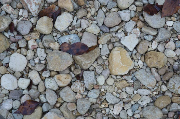 Camino Grandes Piedras Con Hojas Caídas Otoño Fondo Natural Para — Foto de Stock