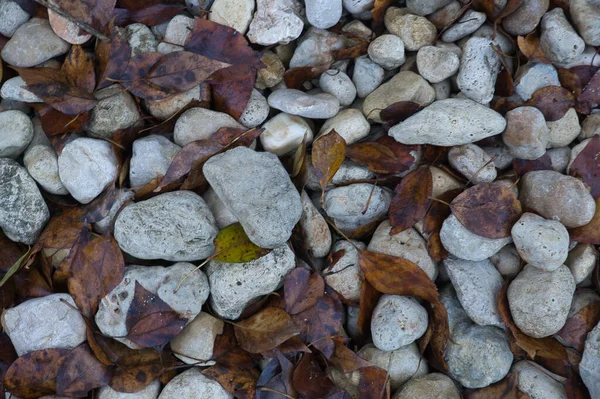 Ein Weg Aus Großen Steinen Mit Abgefallenen Herbstblättern Natürlicher Hintergrund — Stockfoto