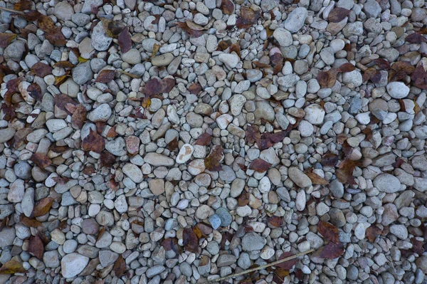 Ein Weg Aus Großen Steinen Mit Abgefallenen Herbstblättern Natürlicher Hintergrund — Stockfoto