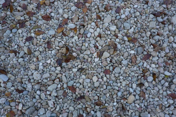 Camino Grandes Piedras Con Hojas Caídas Otoño Fondo Natural Para —  Fotos de Stock