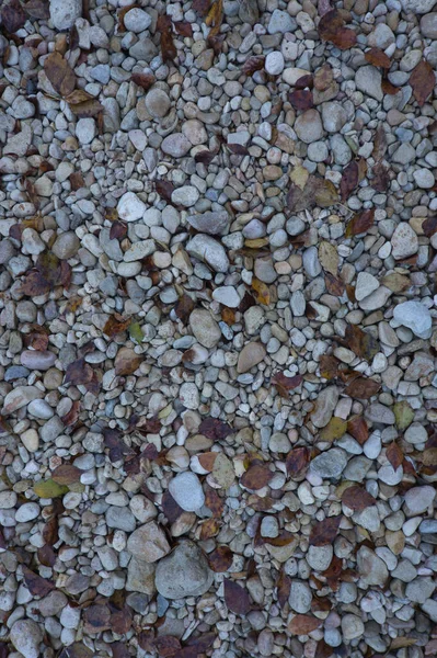 Ένα Μονοπάτι Από Μεγάλες Πέτρες Πεσμένα Φθινοπωρινά Φύλλα Φυσικό Φόντο — Φωτογραφία Αρχείου