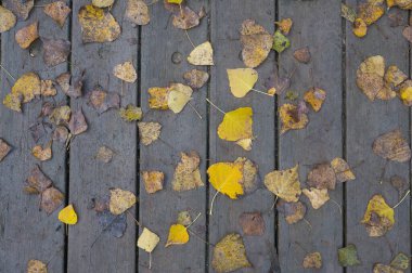 Arka plan dokusu eski ahşap masa ve İspanya 'da sonbahar yaprakları