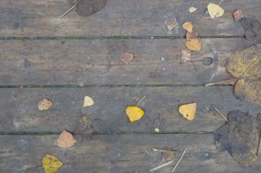 Arka plan dokusu eski ahşap masa ve İspanya 'da sonbahar yaprakları