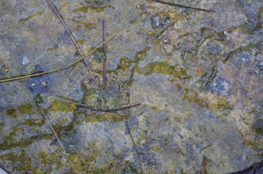 Arkaplan için soyut taş dokusu. Mesaj için yakın çekim. İspanya 'da