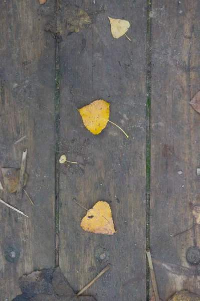 Background Texture Old Wooden Table Autumnal Leaves Spain — Stock Photo, Image