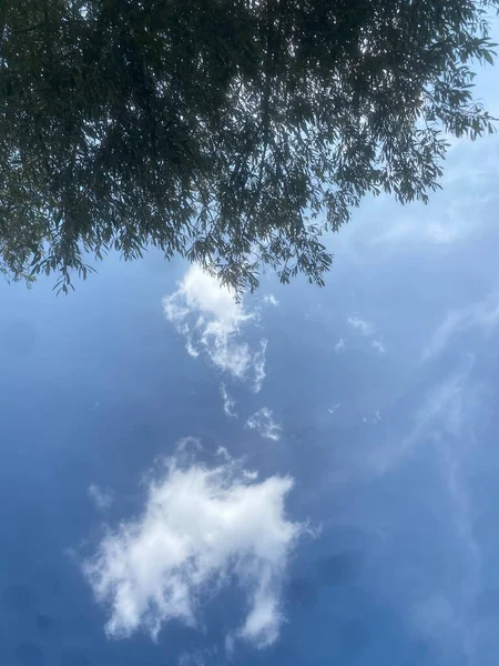 Blicken Sie Hinauf Den Blauen Himmel Mit Weißen Wolken Durch — Stockfoto